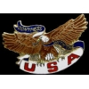 USA EAGLE DO NOT MESS WITH THE USA HAT PIN